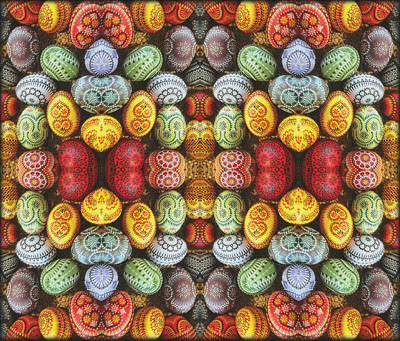 Click here to view at full resolution.