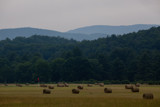 Rolling in the field by b8264d, photography->landscape gallery