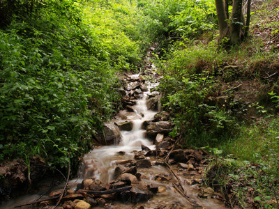 Click here to view at full resolution.