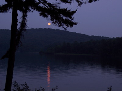 Click here to view at full resolution.