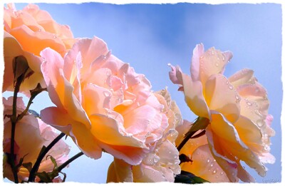 Click here to view at full resolution.