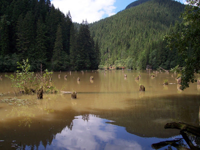 Click here to view at full resolution.