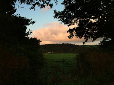 Click here to view at full resolution.