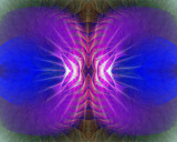 Amazing Texture by Frankief, Abstract->Fractal gallery