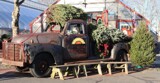 Christmas Tree Delivery by jerseygurl, holidays->christmas gallery