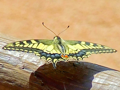 Click here to view at full resolution.