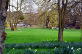 Spring scene 2 by Ramad, photography->gardens gallery