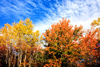 Click here to view at full resolution.