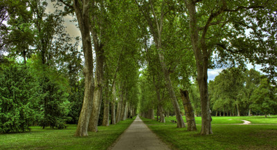 Click here to view at full resolution.