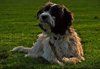 Click here to view at full resolution.