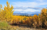 Fall In The Yukon by bingwa, Photography->Landscape gallery