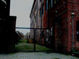 Ally by rvdb, photography->manipulation gallery