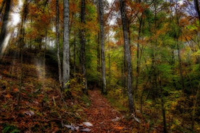 Click here to view at full resolution.