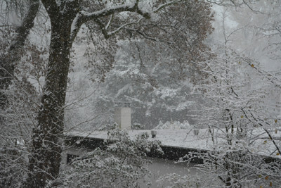 Click here to view at full resolution.