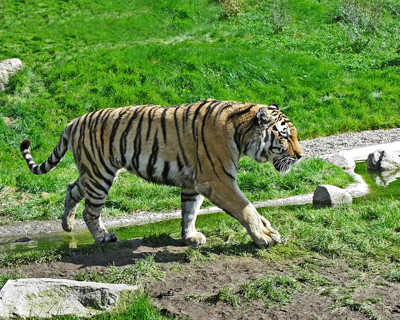 Click here to view at full resolution.