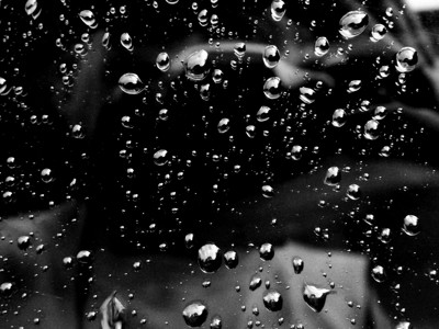 Click here to view at full resolution.