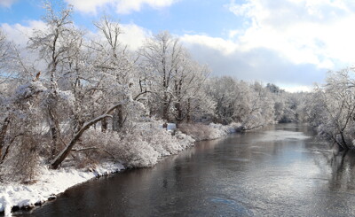 Click here to view at full resolution.