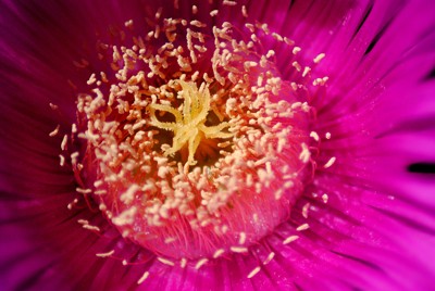 Click here to view at full resolution.