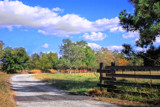 Ranch Road by PatAndre, photography->landscape gallery