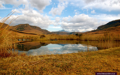 Click here to view at full resolution.
