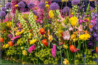 Click here to view at full resolution.