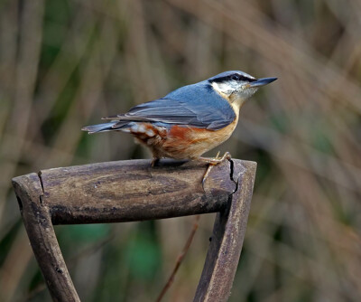 Click here to view at full resolution.