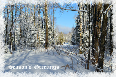 Click here to view at full resolution.