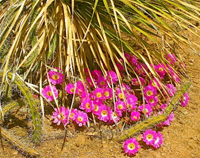 Click here to view at full resolution.