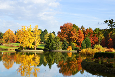 Click here to view at full resolution.