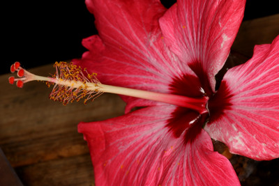 Click here to view at full resolution.