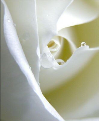 Click here to view at full resolution.