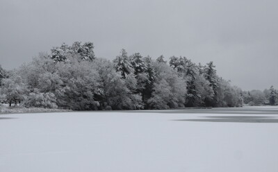 Click here to view at full resolution.