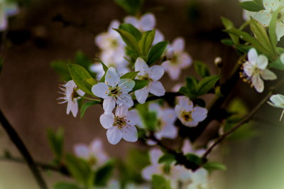 Click here to view at full resolution.