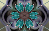 Pendulum Push by Flmngseabass, abstract gallery