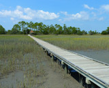 Marshwalk by Mvillian, photography->landscape gallery