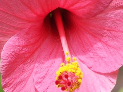 Click here to view at full resolution.