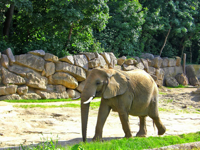 Click here to view at full resolution.