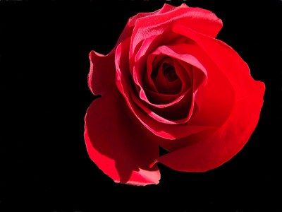 Click here to view at full resolution.