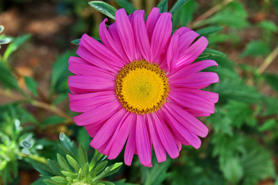 Click here to view at full resolution.