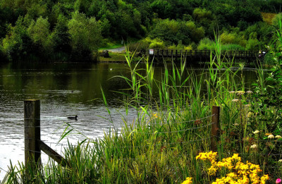 Click here to view at full resolution.