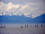 Swiftsure Races by jdinvictoria, Photography->Landscape gallery