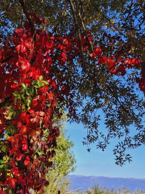 Click here to view at full resolution.