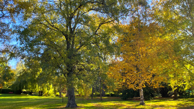 Click here to view at full resolution.