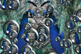 Peacocks ball by Paul_Gerritsen, Photography->Manipulation gallery