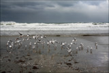 A Beach In Winter #3 by LynEve, photography->shorelines gallery