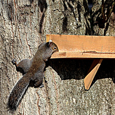 Click here to view at full resolution.