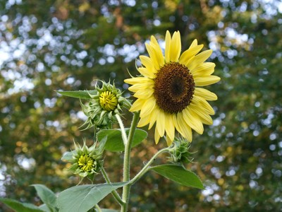 Click here to view at full resolution.