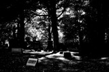 Woodlawn by JayMxPhotography, photography->landscape gallery