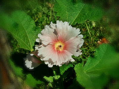 Click here to view at full resolution.