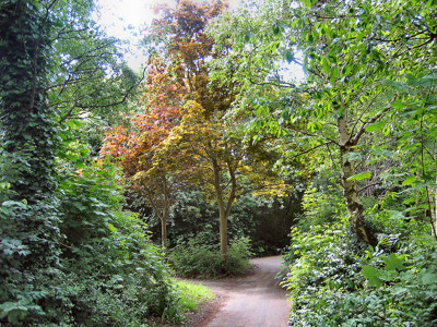 Click here to view at full resolution.